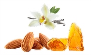 fragrance notes almond vanilla and rich amber