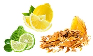 fragrance notes citrus amber wood and musks