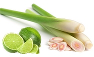 fragrance notes juicy limes and tangy lemongrass