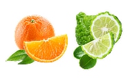 fragrance notes juicy orange and bergamot