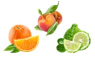 fragrance notes orange peach and bergamot