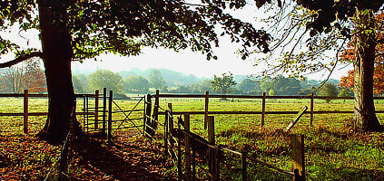 landscape view of the beautiful dedham vale