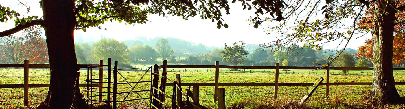 landscape view of the beautiful dedham vale