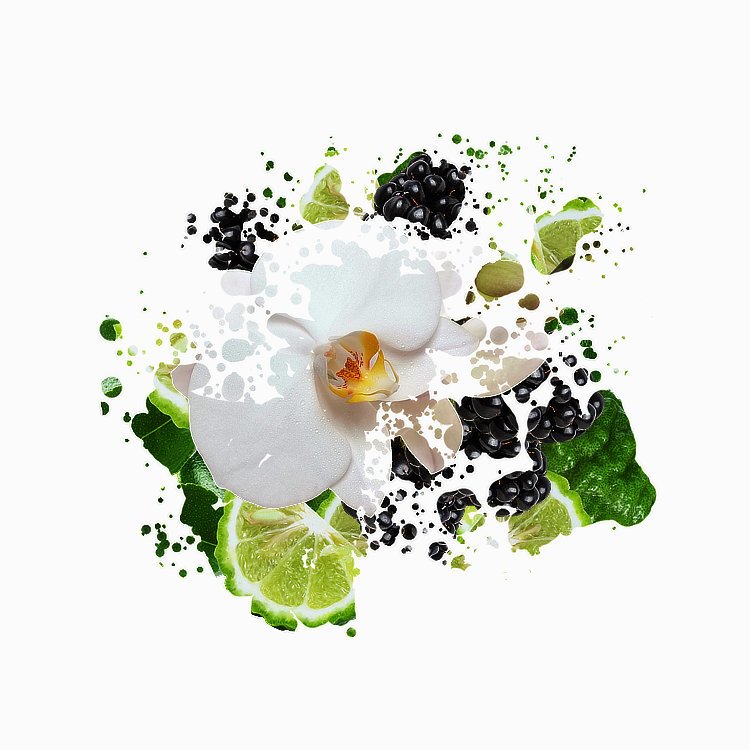 exploding fragrance notes of blackberry and bergamot