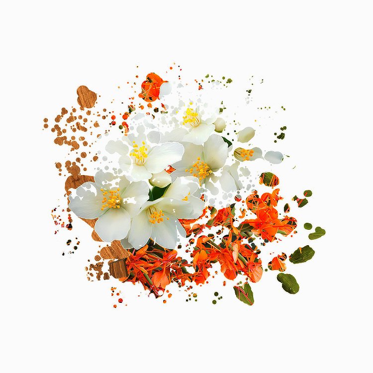 exploding fragrance notes of ginger lily and amber wood